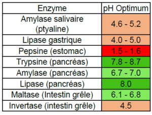 pH enzyme digestive